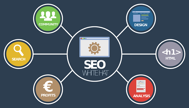 L’importance du seo netlinking dans l’optimisation d’un site