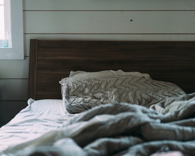punaise de lit