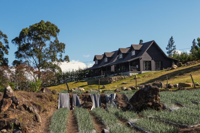 Immobilier en montagne